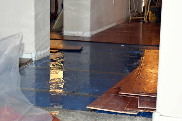 Professional Crawl Space Water Removal technician working in Dixfield, ME